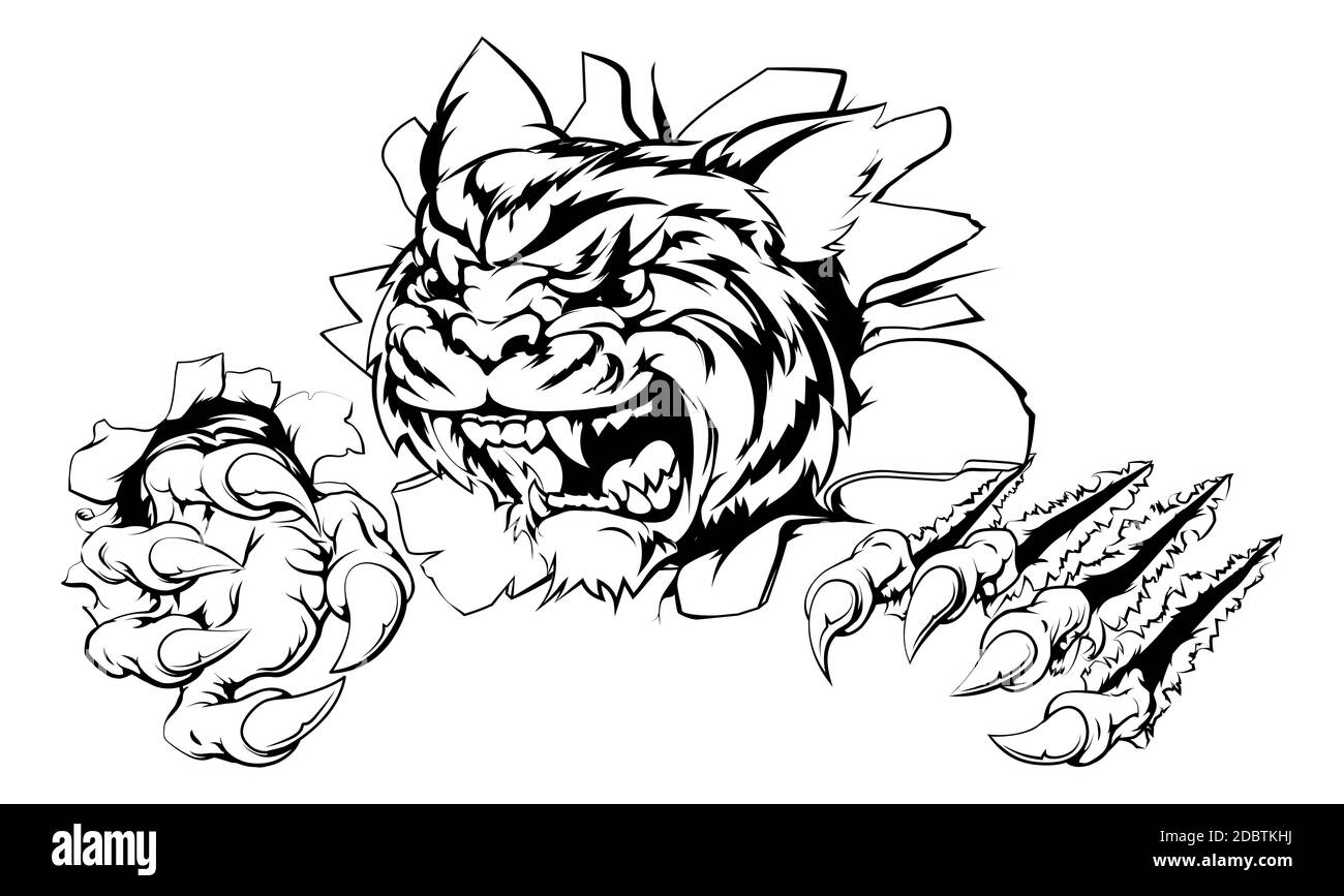 An attacking tiger with claws breakthrough drawing of a tiger tearing through the background Stock Photo