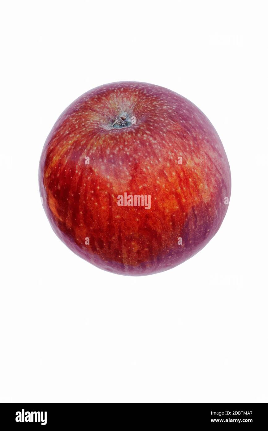 Stayman apple (Malus domestica Stayman). Called Stayman Winesap also. Image of single apple isolated on white background Stock Photo
