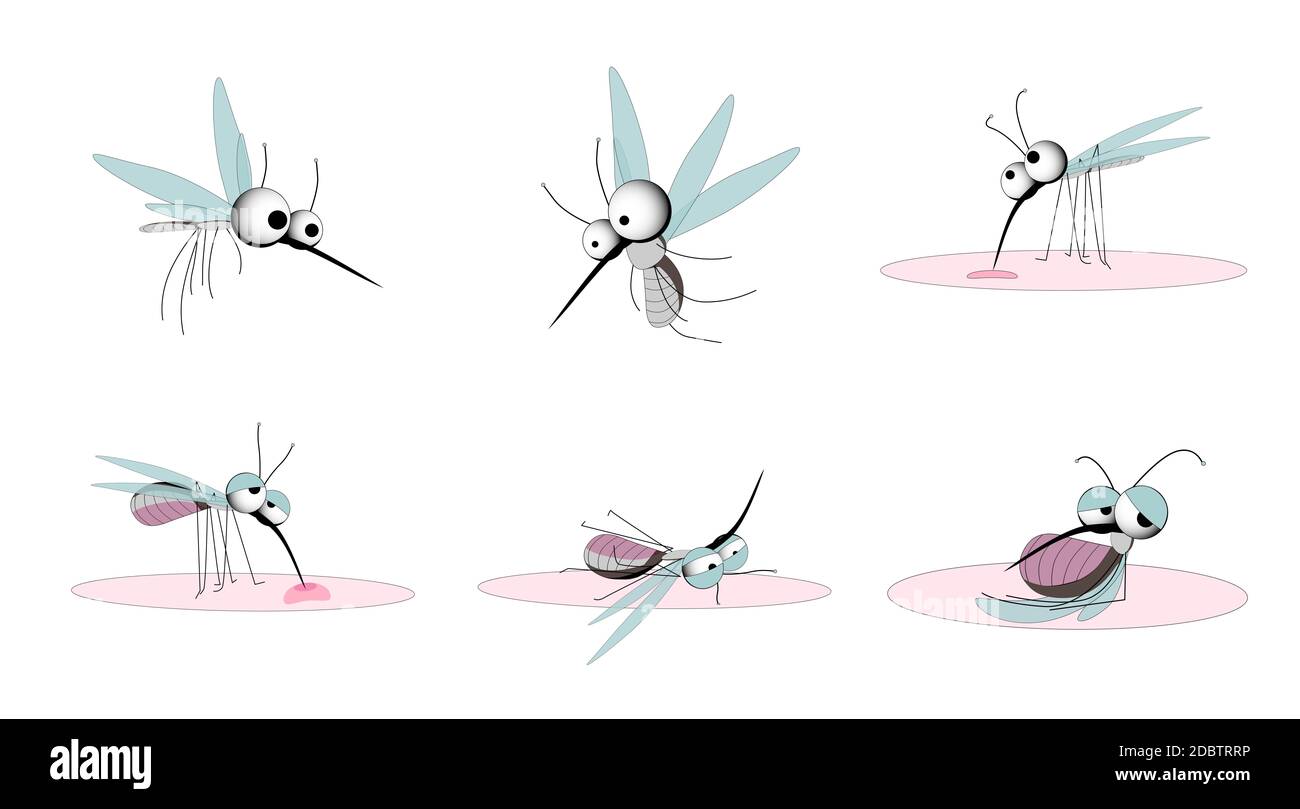 Mosquito cartoon character flying illustration hi-res stock photography and  images - Alamy
