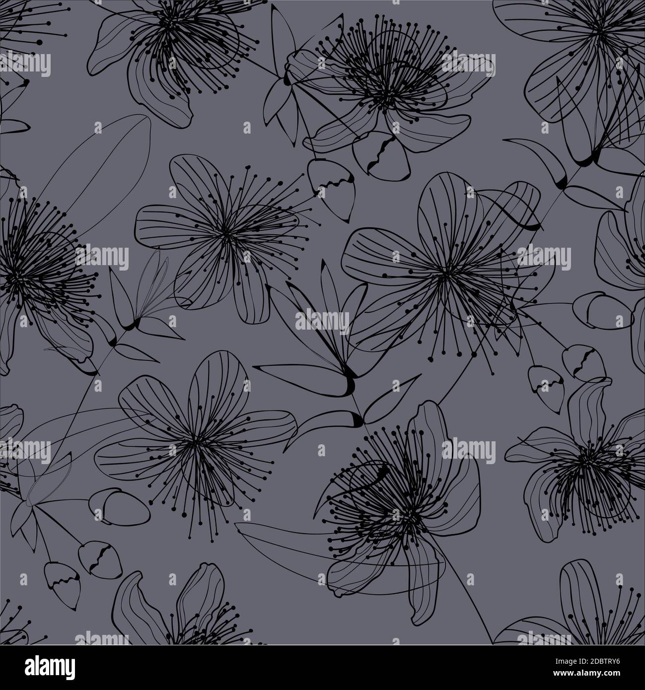 Elegance BLACK flowers on a gray background. The flowers are tender pattern. LACE. Stock Photo