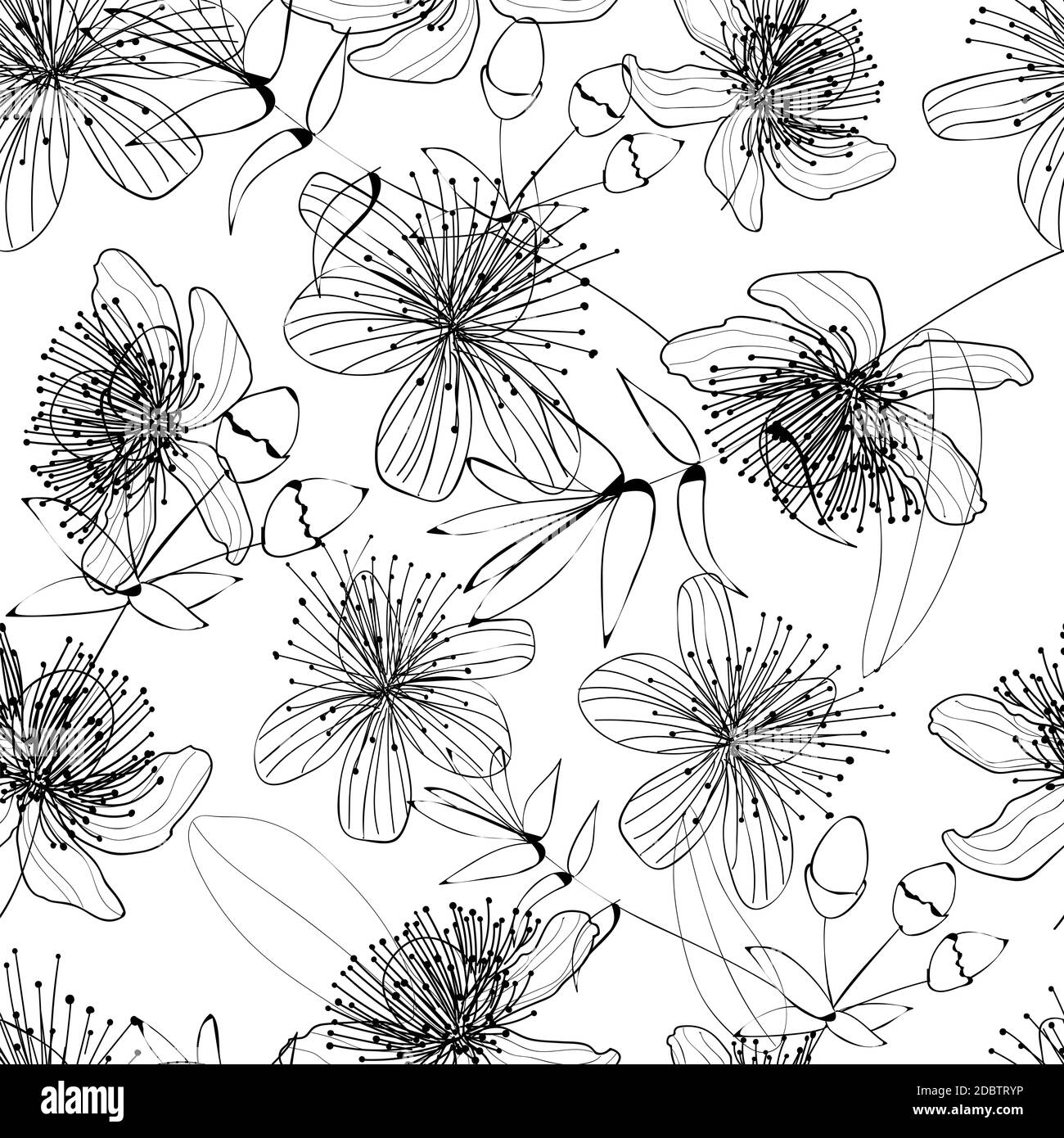 Black lined flowers seamless pattern on a white background. The text style pattern is modern, fashionable and elegant. Stock Photo