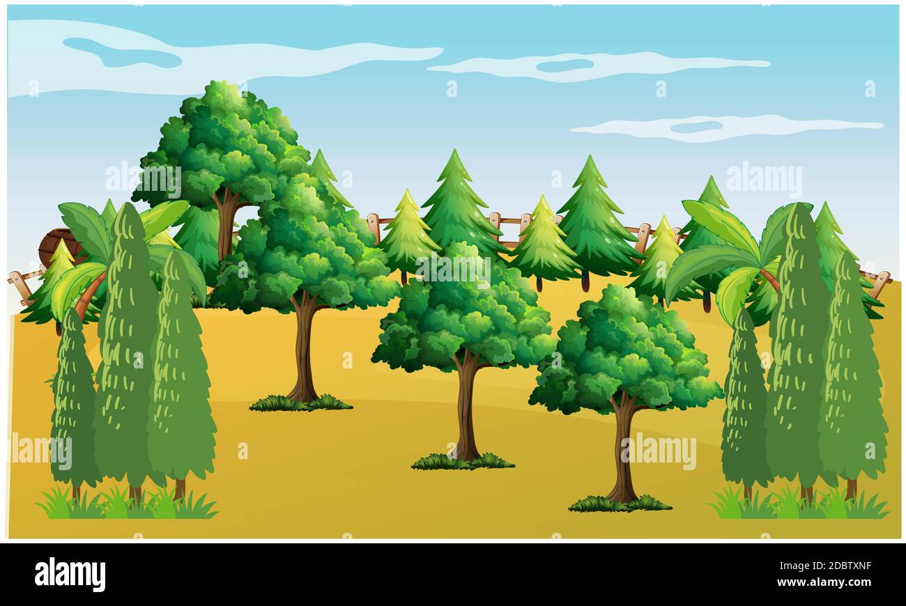 Different types flower in Cut Out Stock Images & Pictures - Alamy