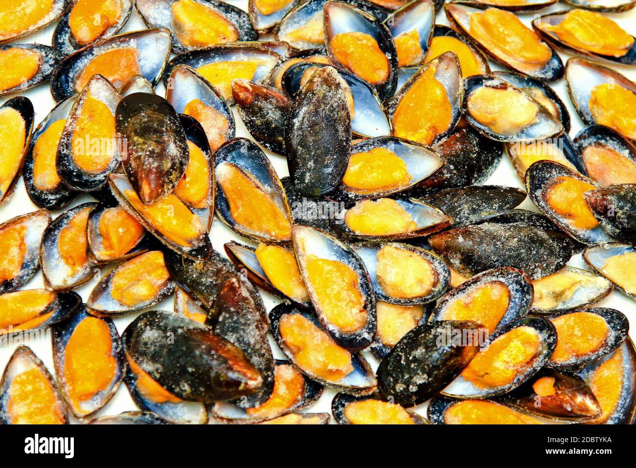 Bunch of frozen mussels right before cooking Stock Photo Alamy