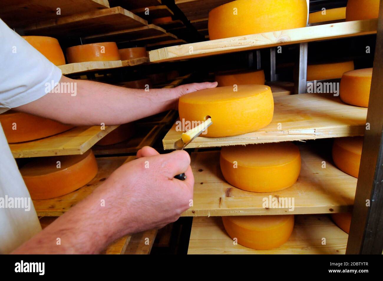 Control ripening cheese hires stock photography and images Alamy