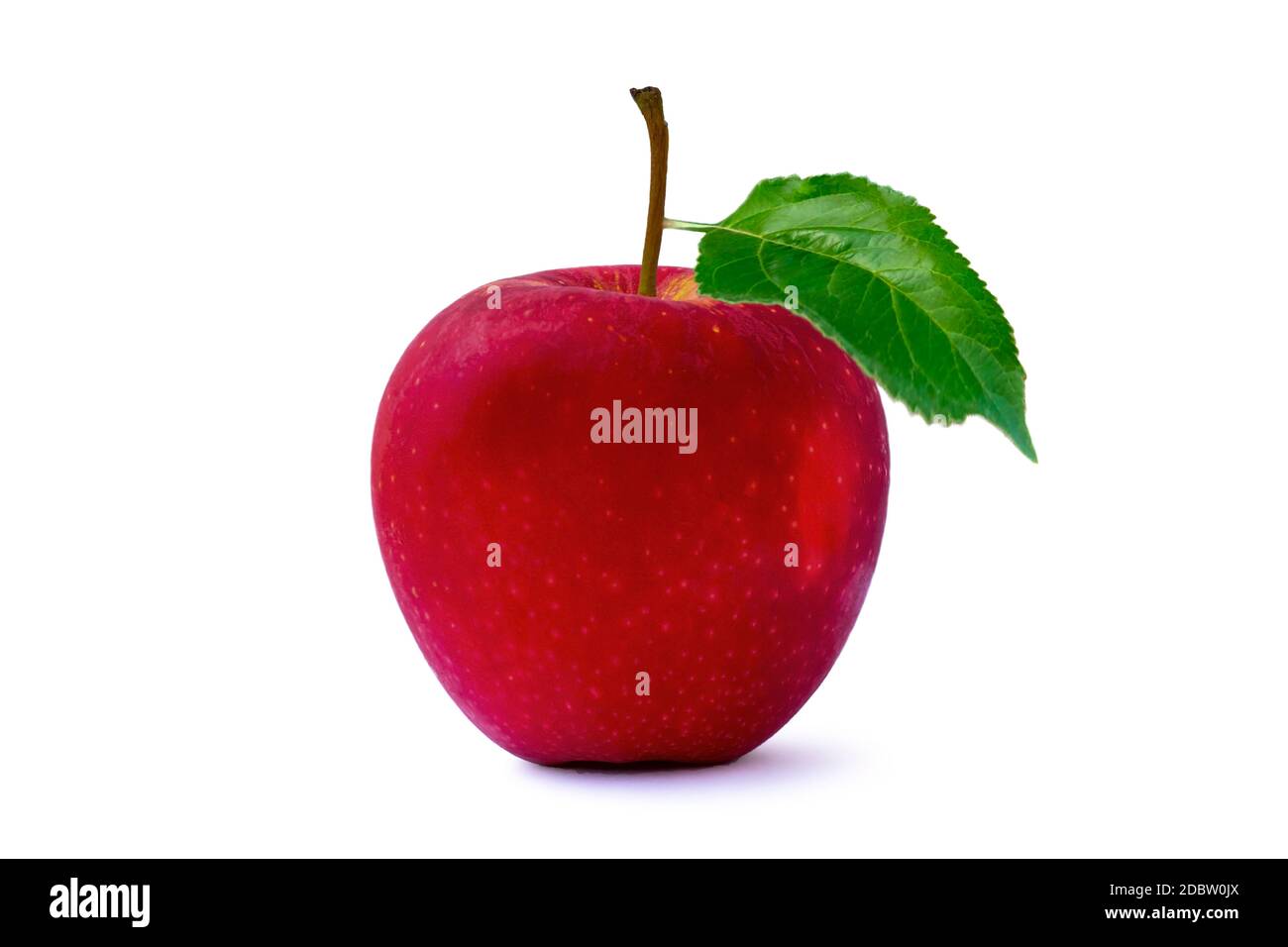 Red apples and green leaves isolated on a white background with the clipping path. Stock Photo