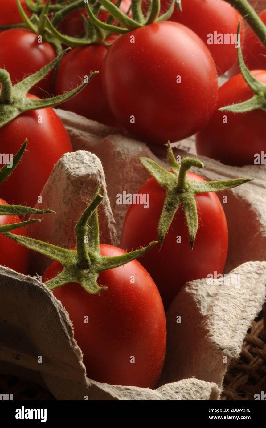 San Marzano tomatoes in the box for eggs Stock Photo