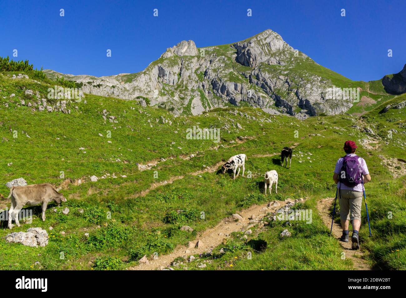 Hiking in the Rofan Mountains Stock Photo