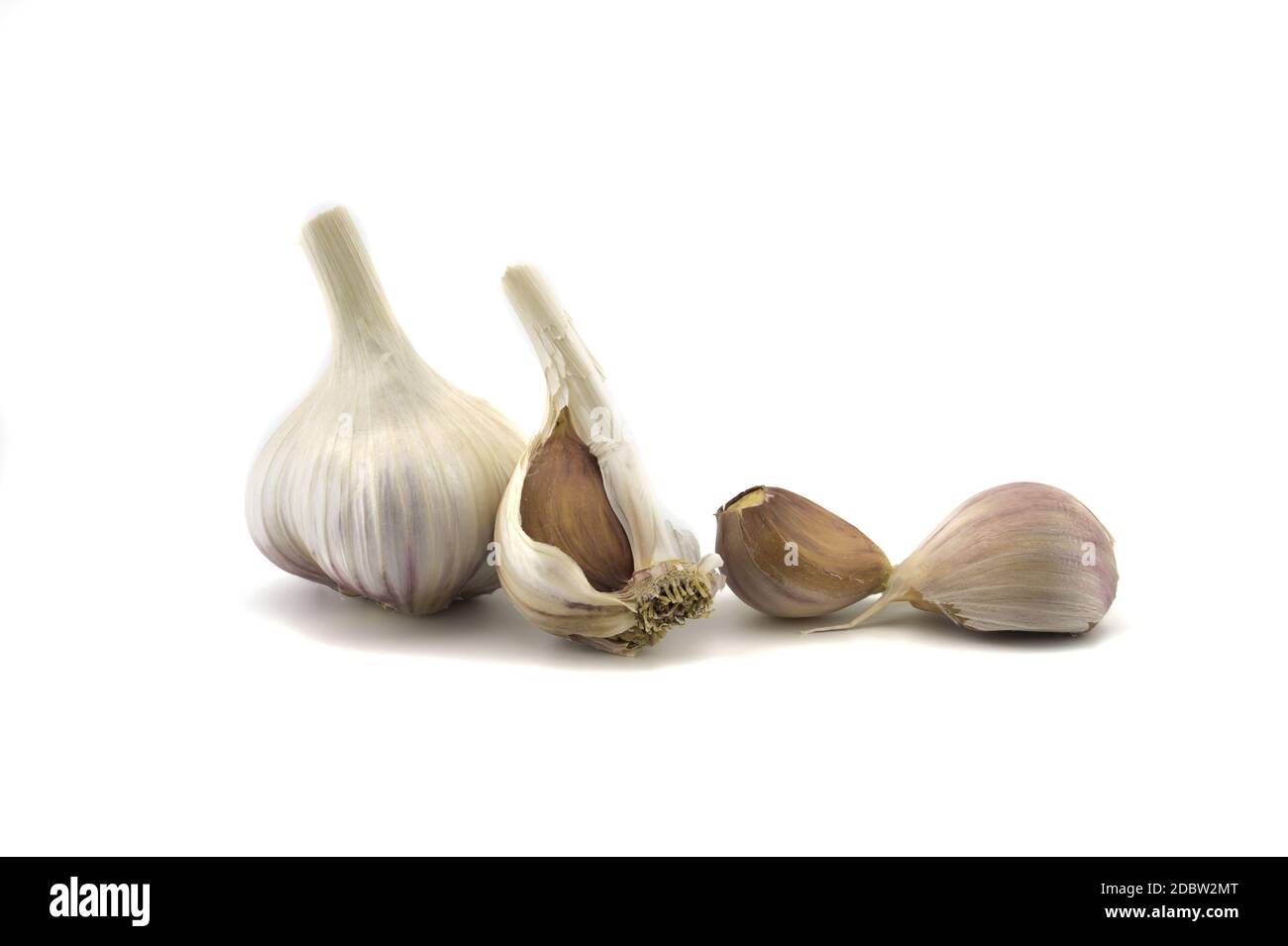 Garlic bulbs and cloves in close-up isolated on white background Stock ...