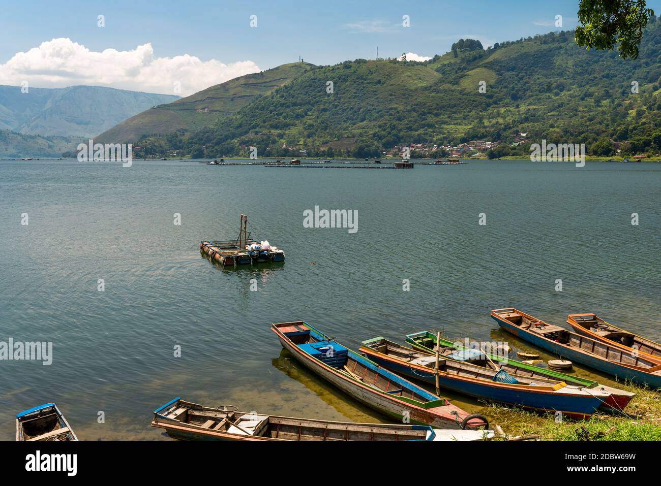 Lake Toba Fish High Resolution Stock Photography And Images Alamy
