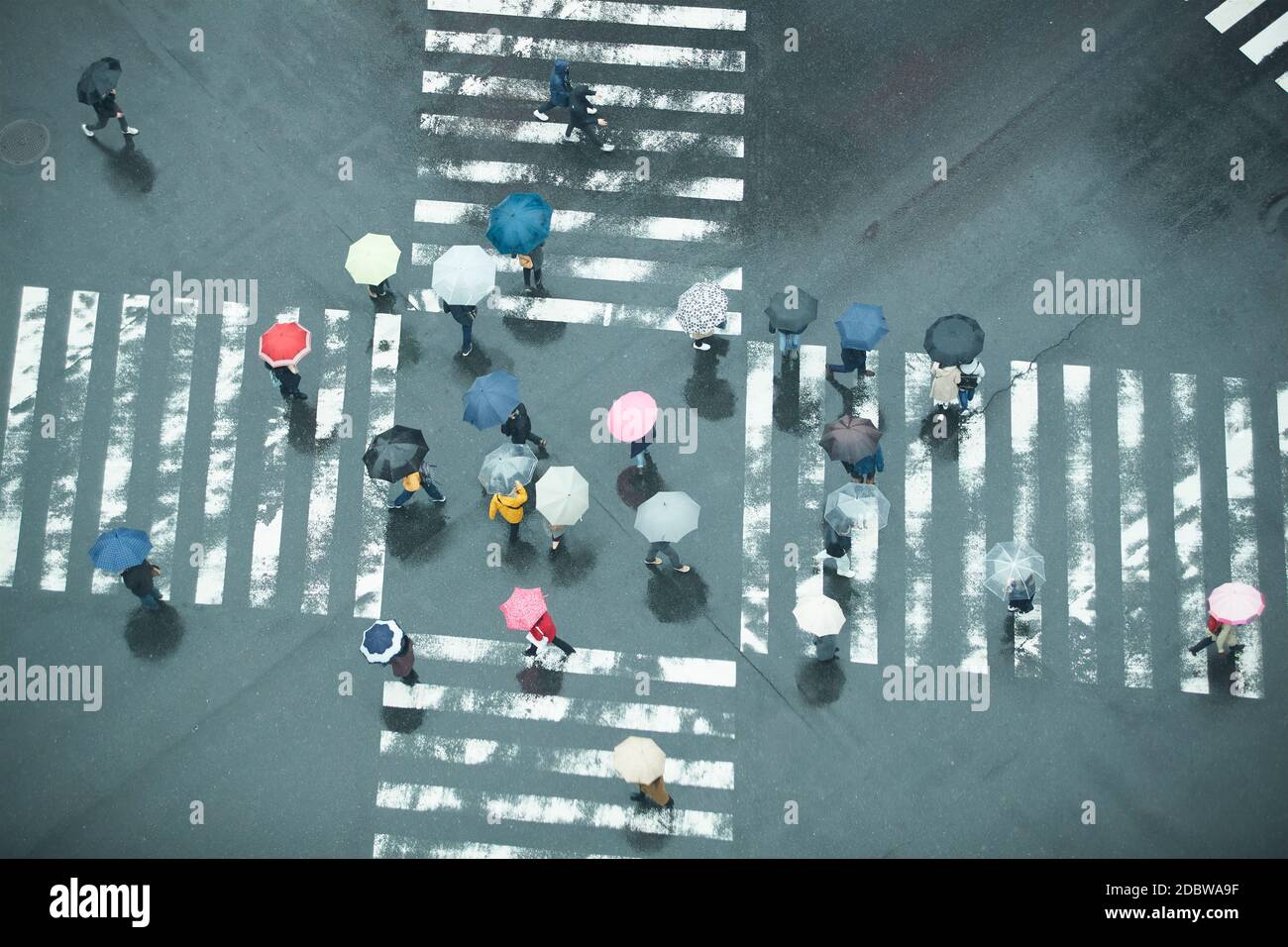 People Crossing A Crossroad On A Rainy Day In Tokyo, Japan, Stock Photo,  Picture And Royalty Free Image. Pic. ALF-133201605