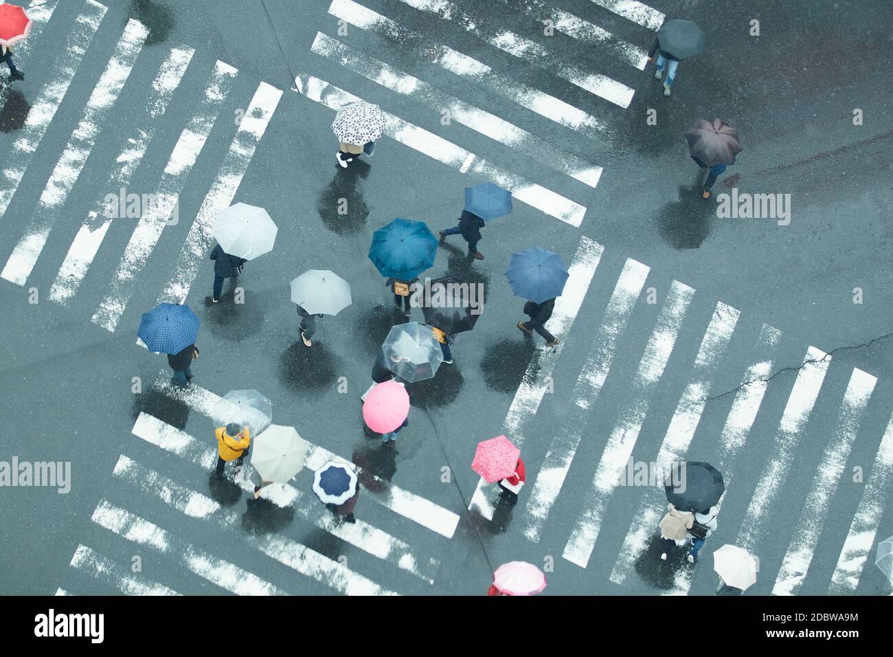 People Crossing A Crossroad On A Rainy Day In Tokyo, Japan, Stock Photo,  Picture And Royalty Free Image. Pic. ALF-133201605