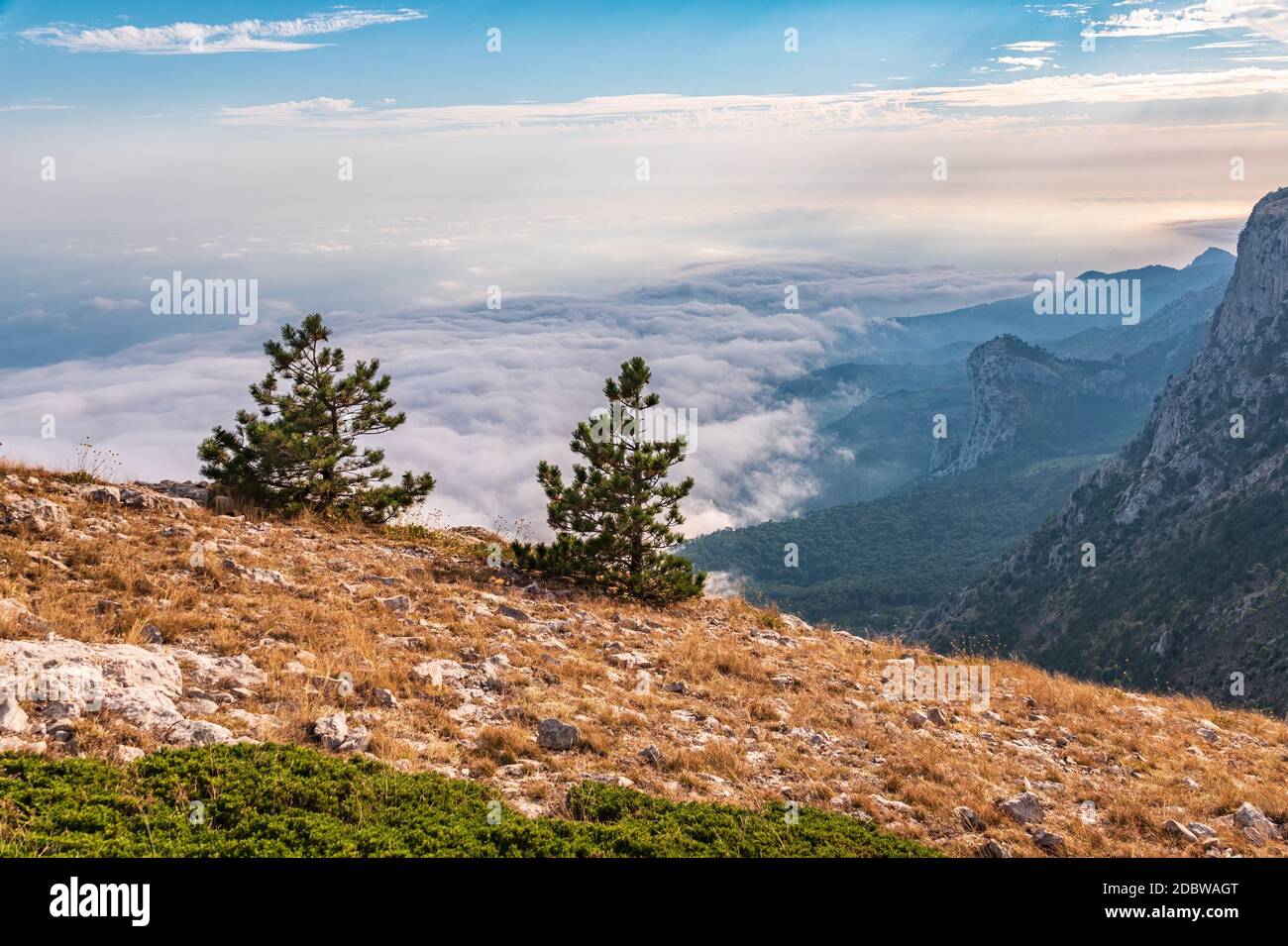 A majestic view of the rocky mountains and the valley in fog and clouds ...