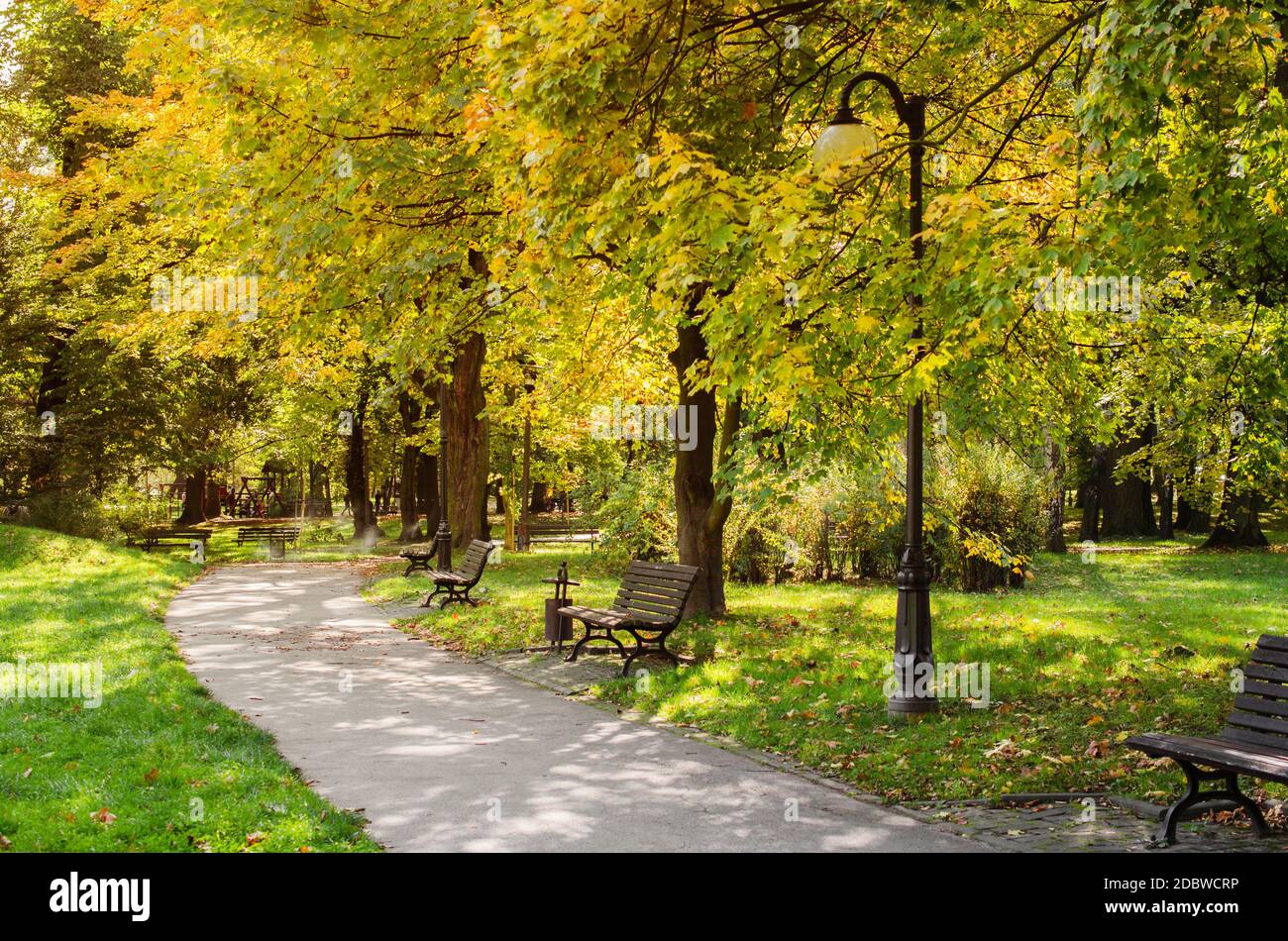 City park in autumn. Autumn Landscape. Colorful foliage at beautiful ...