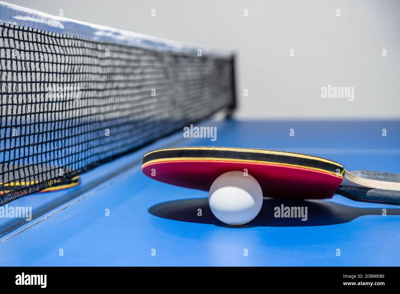 Closeup red table tennis racket and a white ball on the blue ping pong table with a black net, Table tennis paddle is a sports competition equipment i Stock Photo
