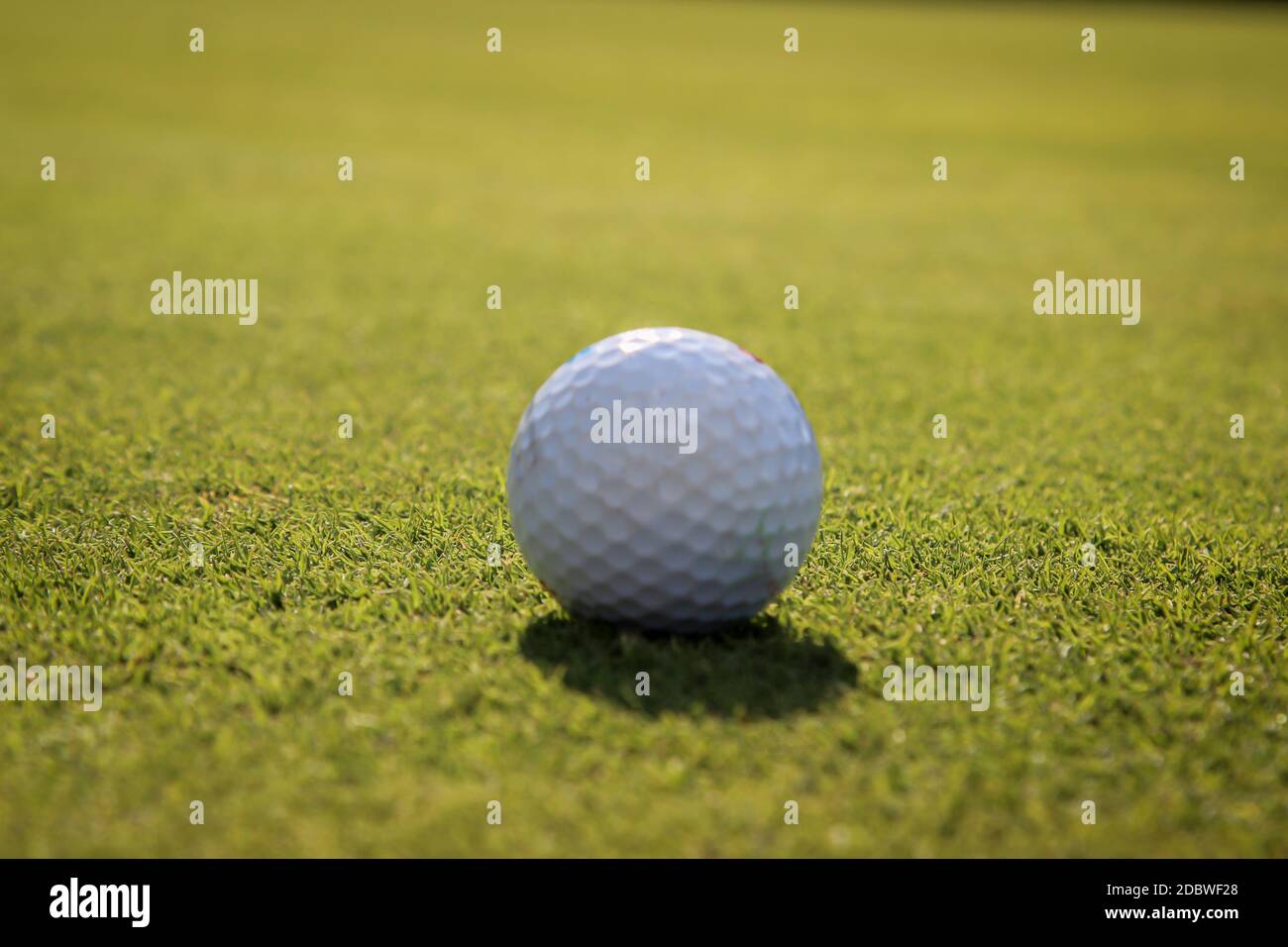 Golf clubs macro hi-res stock photography and images - Alamy