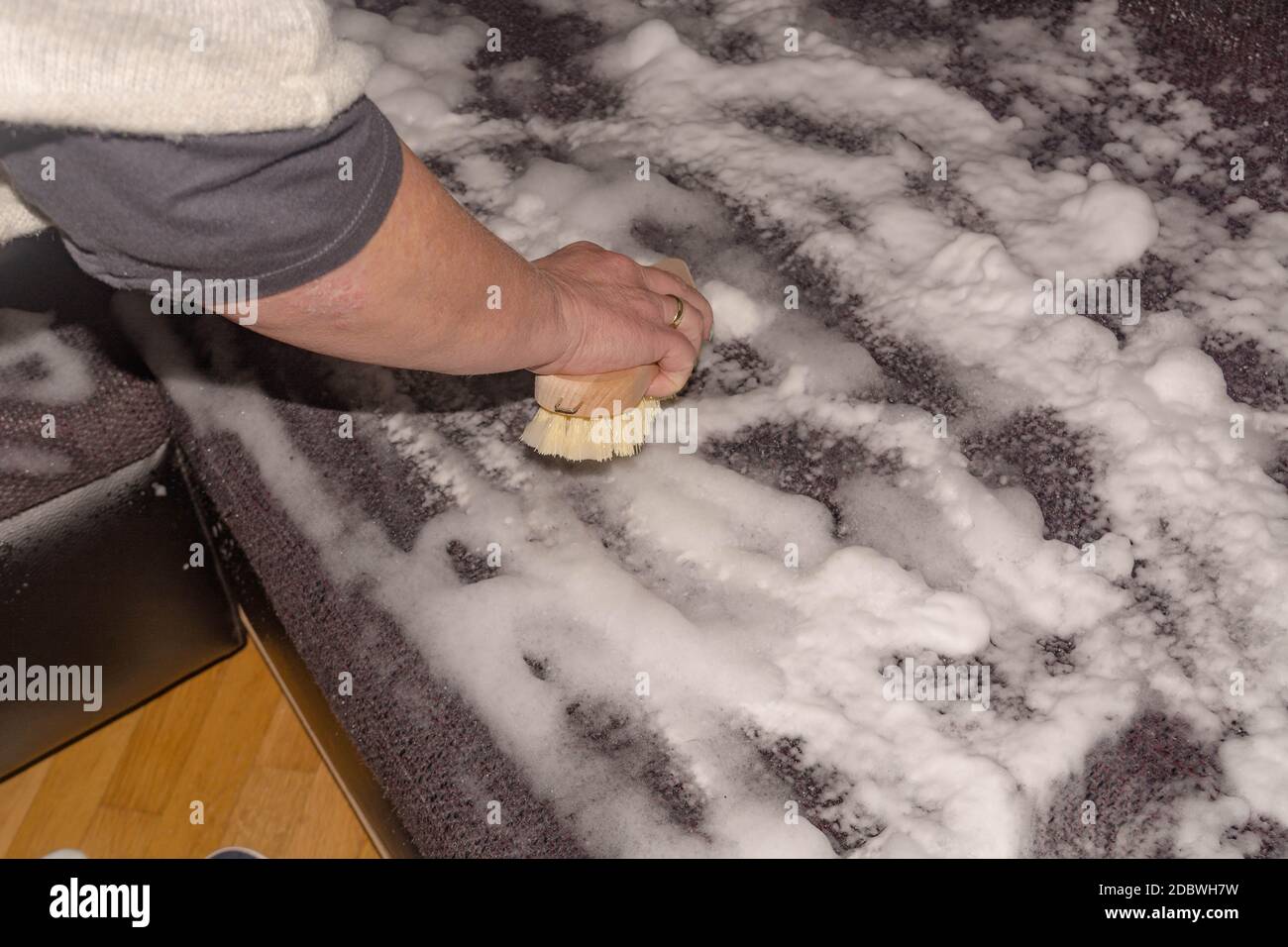 Sofa dry cleaning with professional extraction method. Upholstered