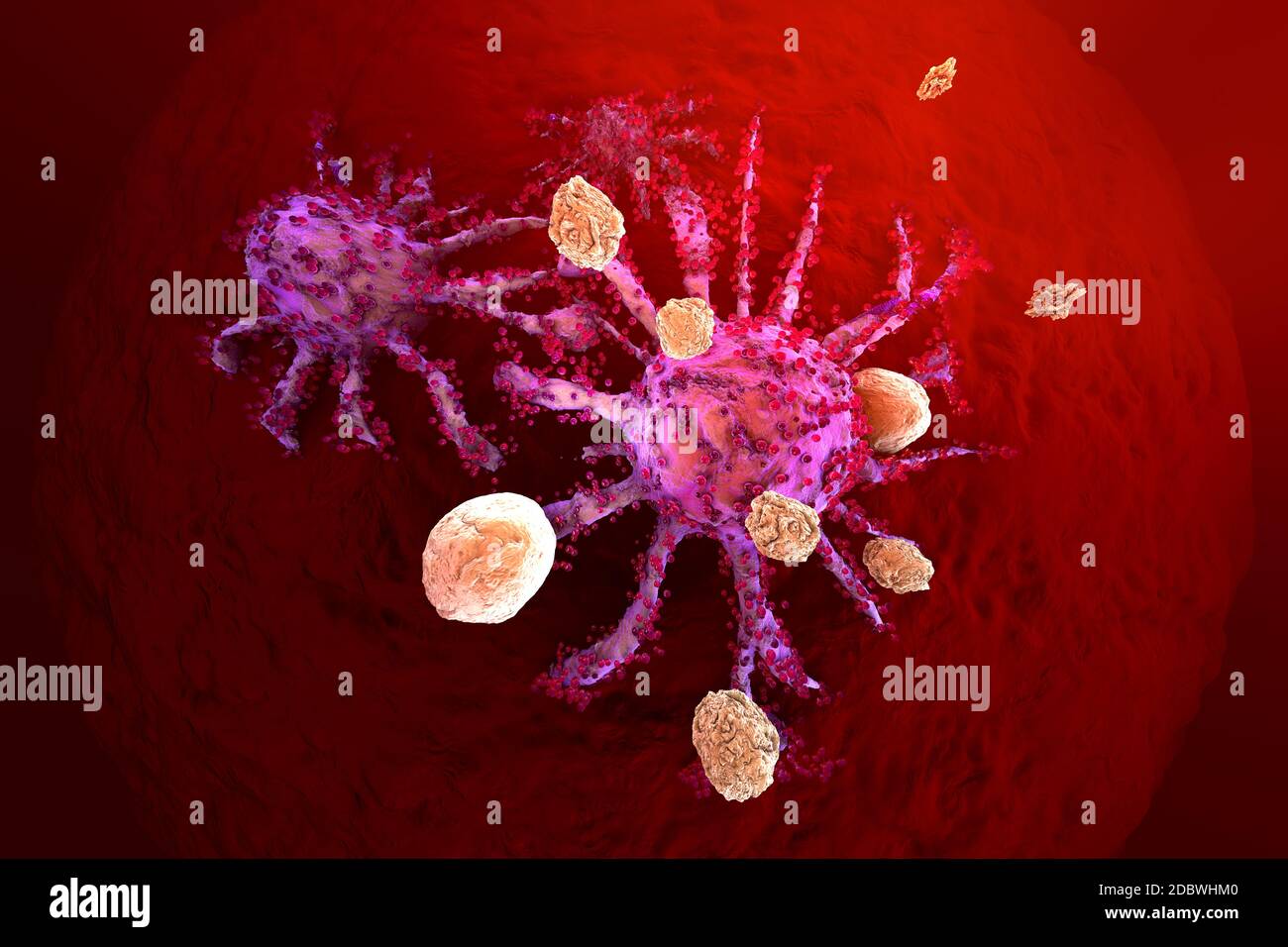 3D rendered Illustration of T-Cells of the immune System attacking growing Cancer cells. Stock Photo
