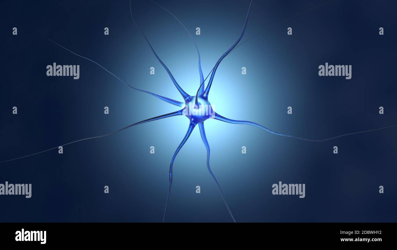 3D Illustration of a neuronal cell in the brain. Stock Photo
