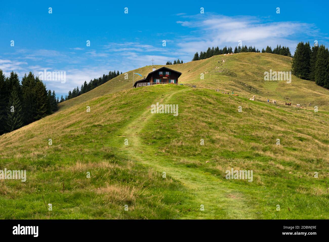 Hiking on Zwiesel in alpine upland Stock Photo