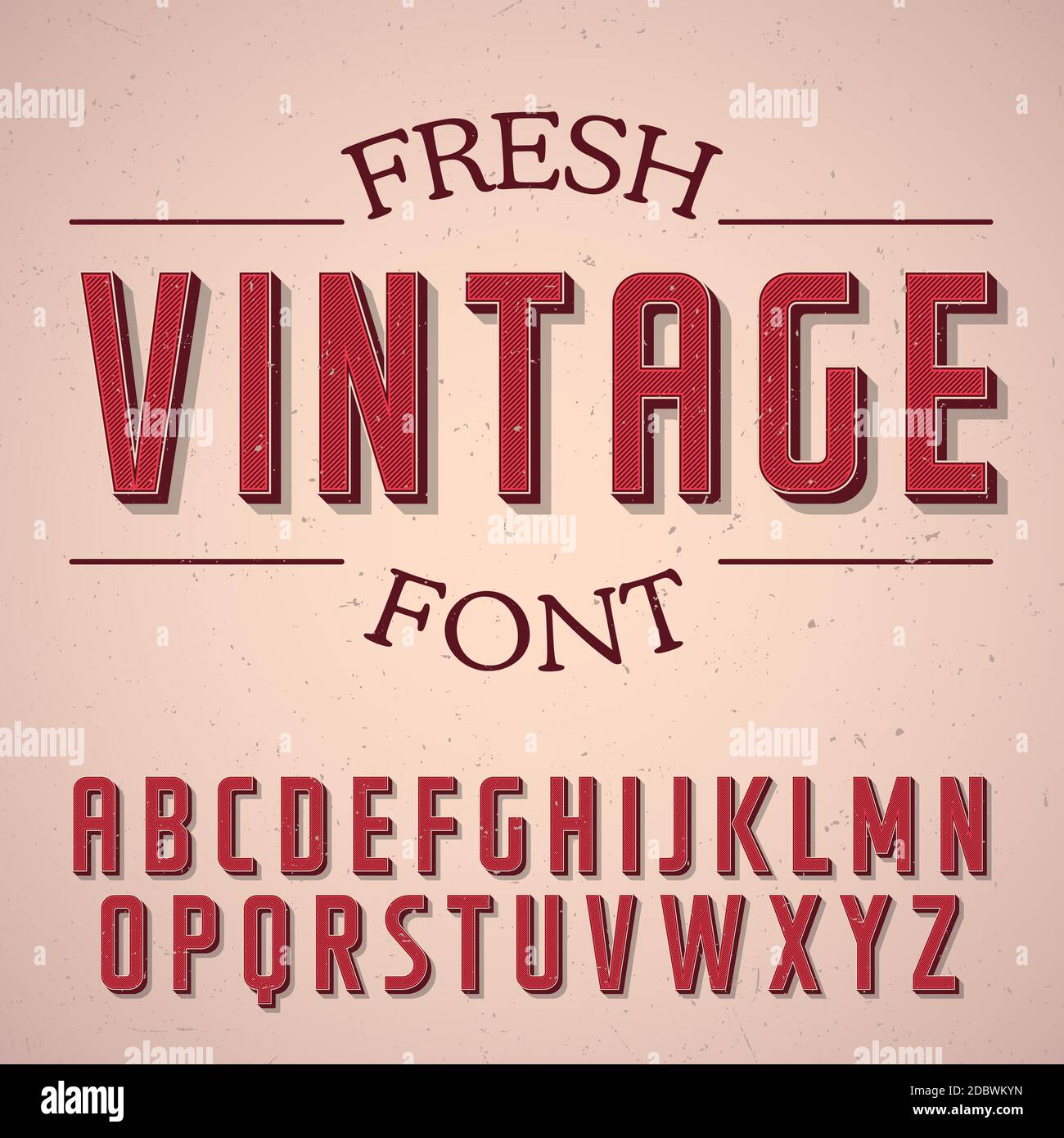 Fresh Vintage Font Poster with alphabet on rose background vector ...