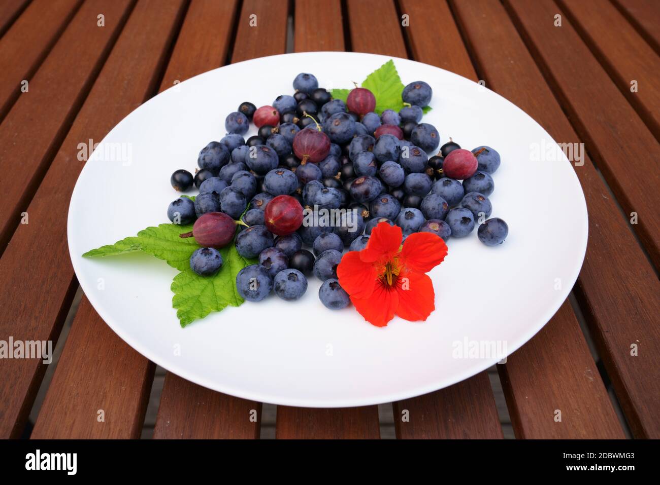 Plateful of fresh Finnish blueberries, gooseberries and black currant served on a white plate on a wooden table with green black currant leafs and red Stock Photo