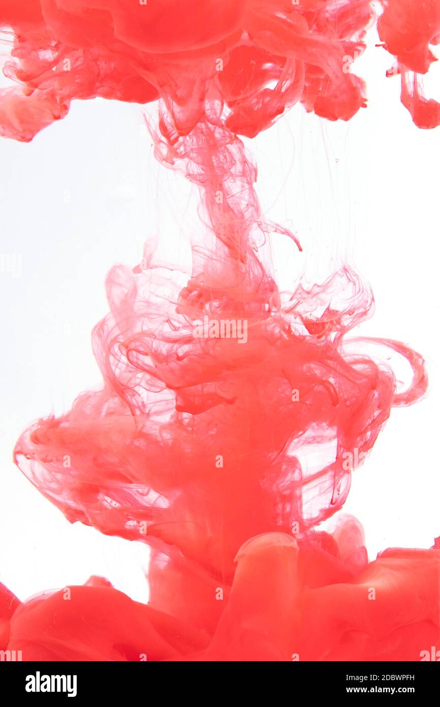 red ink droplet issolated on white background Stock Photo Alamy