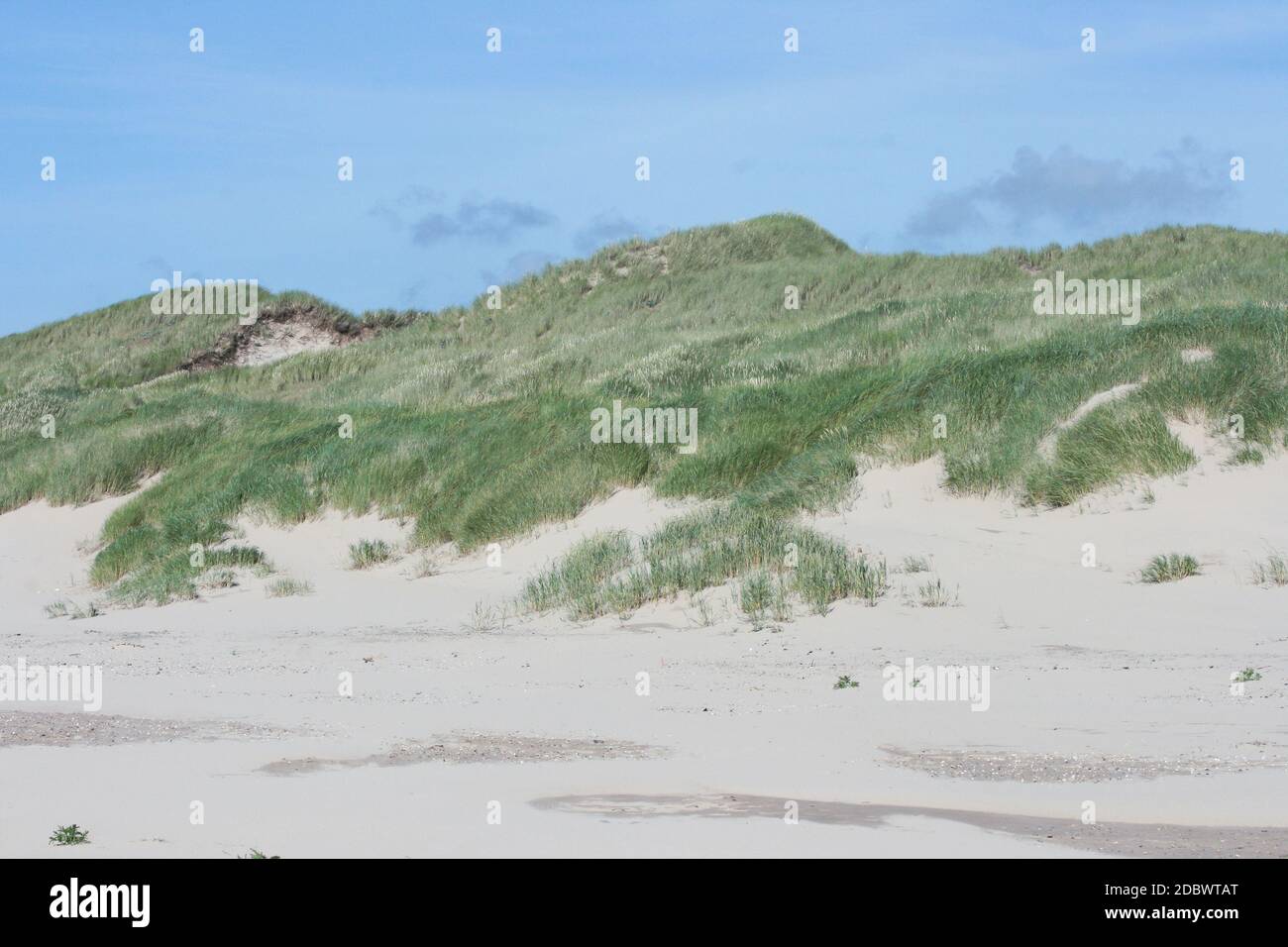 some dunes on the North Sea in the Netherlands Stock Photo - Alamy