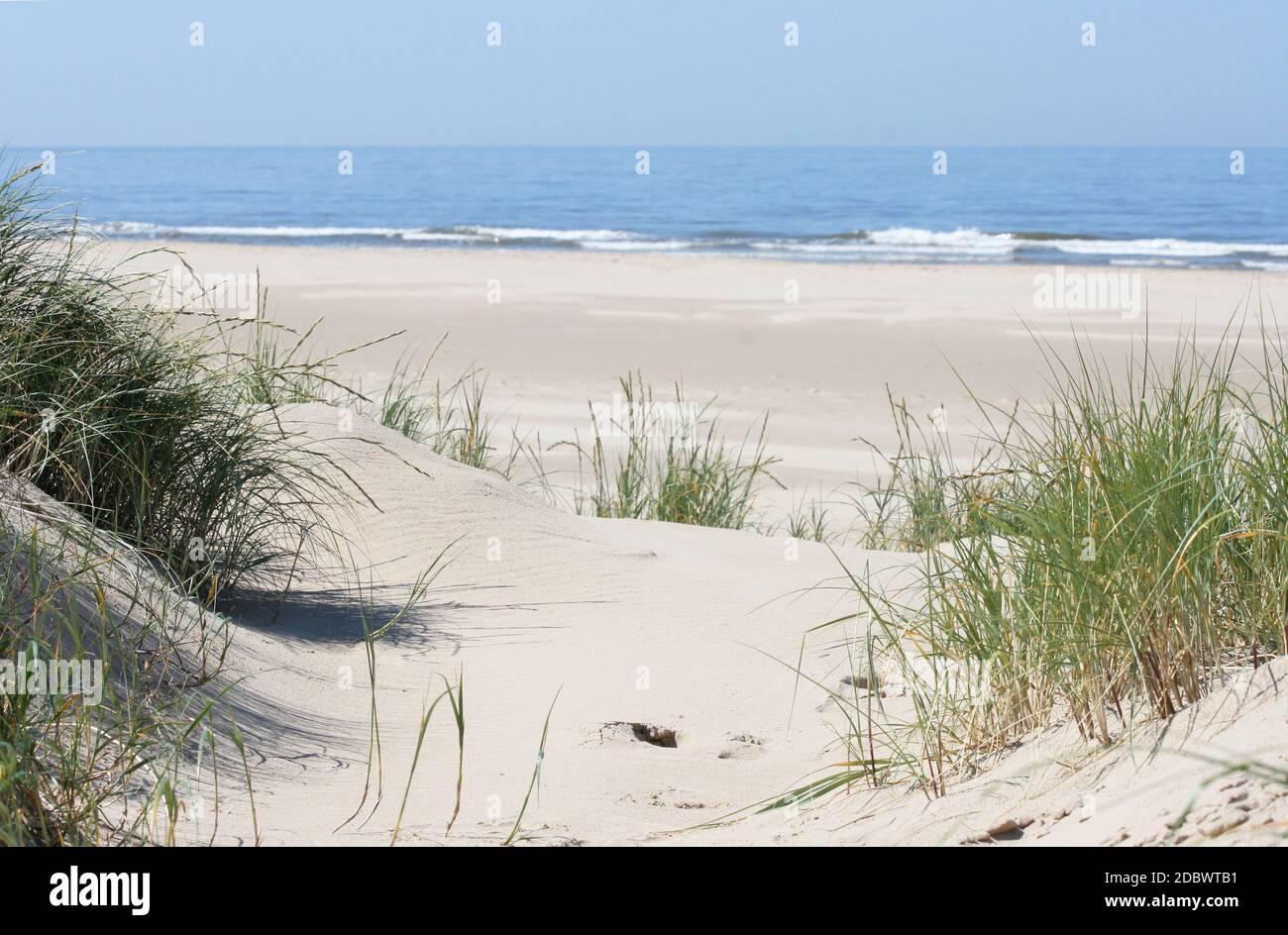 some dunes on the North Sea in the Netherlands Stock Photo - Alamy