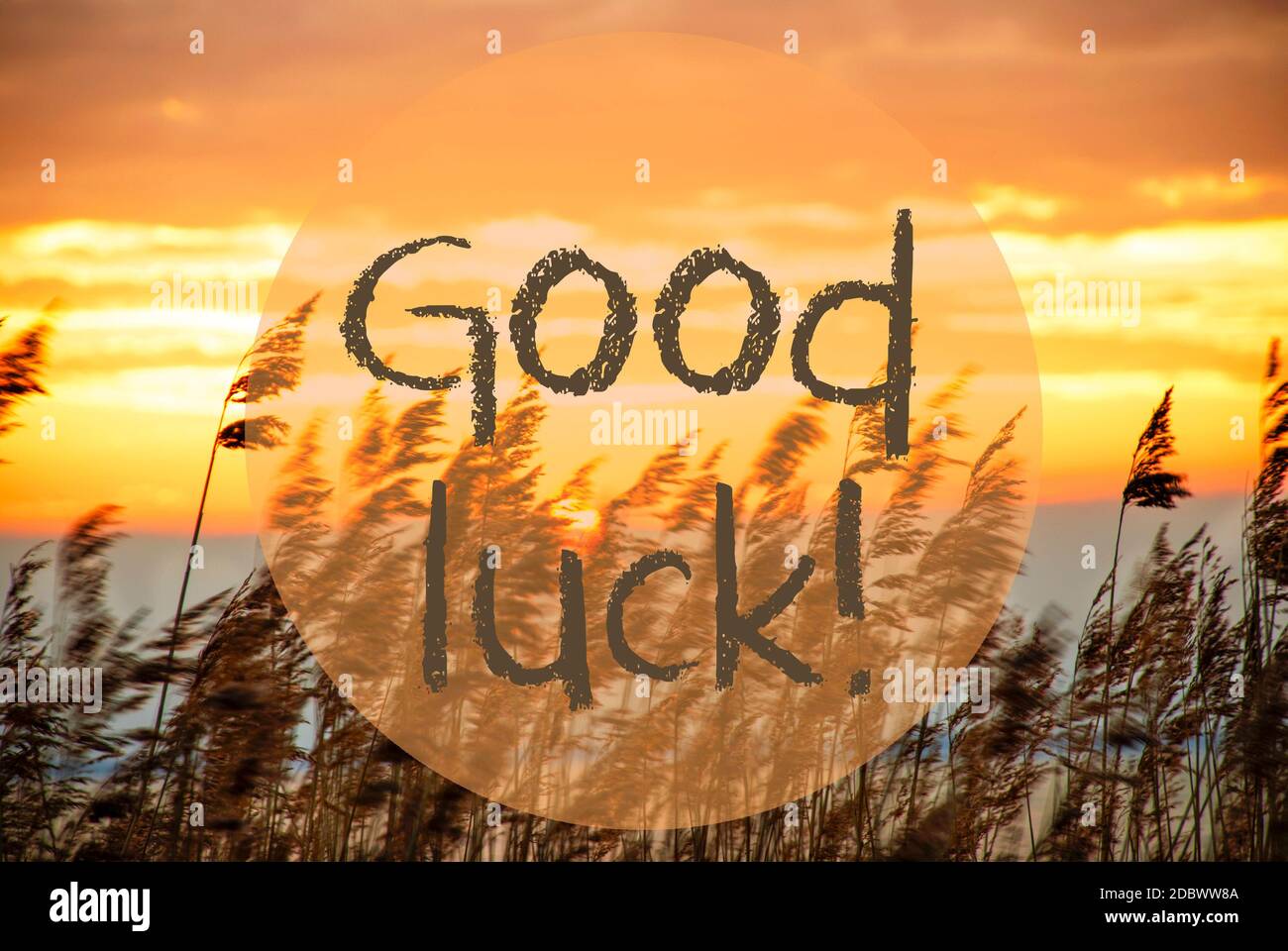 Wish Good Night Hi Res Stock Photography And Images Page 3 Alamy