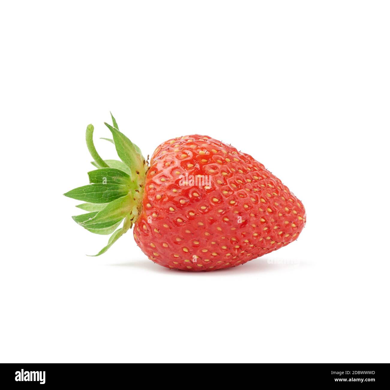 ripe red strawberries with green leaves isolated on a white background ...