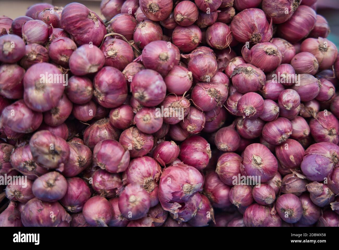 A pile of onions at a market in Hua Hin Thailand stacked and ready for sale. The onions are natural and fresh. Stock Photo