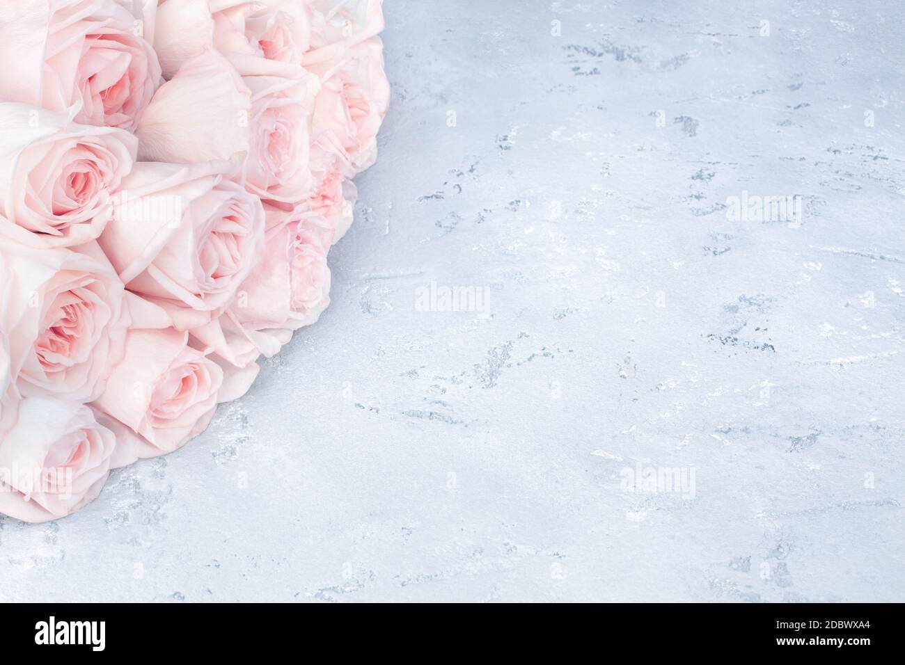 Gray And Blush Rose Bouquet