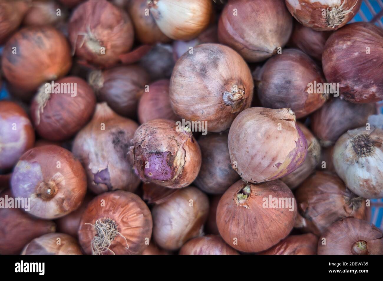 A pile of onions at a market in Hua Hin Thailand stacked and ready for sale. The onions are natural and fresh. Stock Photo