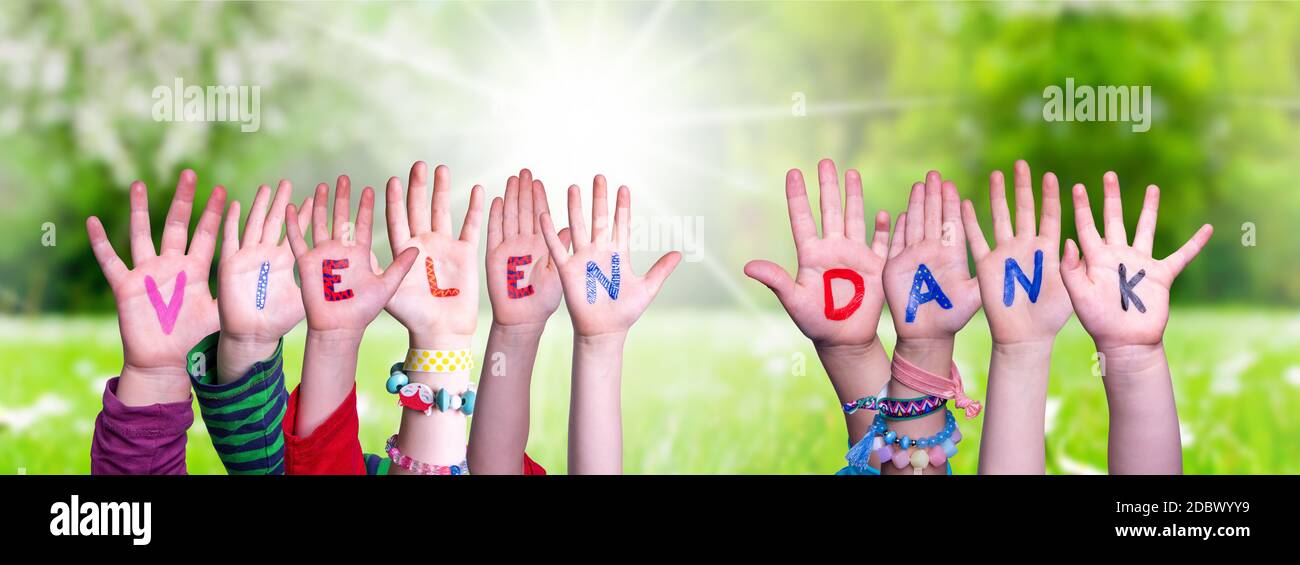 Children Hands Building Colorful German Word Vielen Dank Means Thank You. Sunny Green Grass Meadow As Background Stock Photo