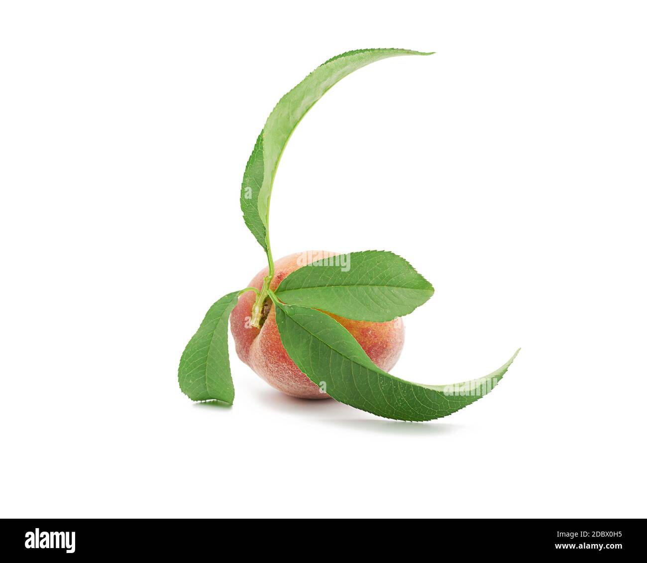 whole ripe red peach isolated on a white background, close up Stock ...