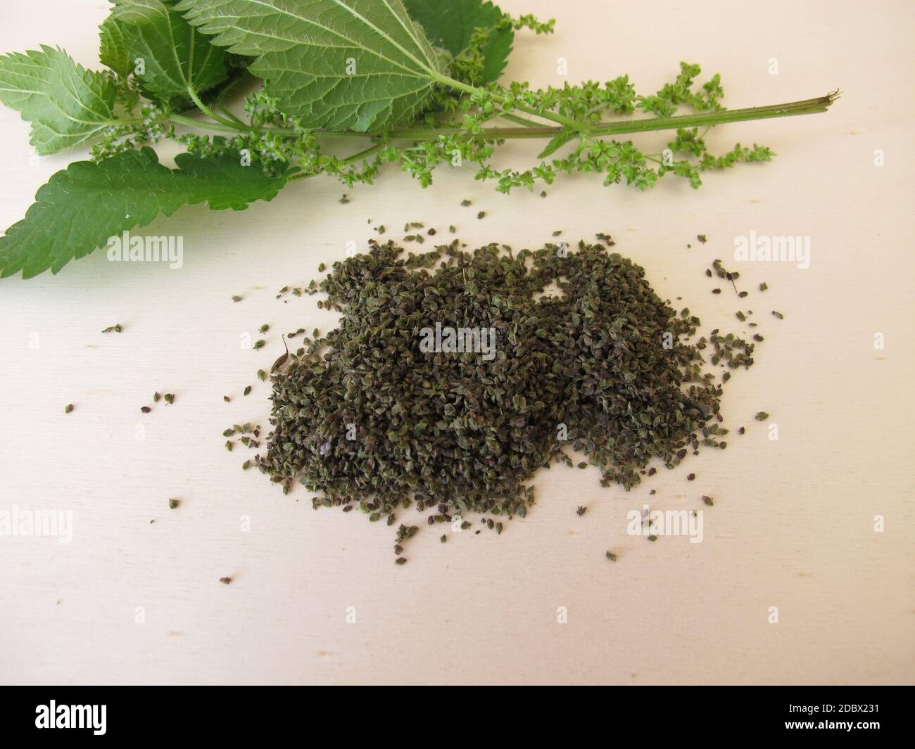 Nettle and dried nettle seeds on a wooden board Stock Photo