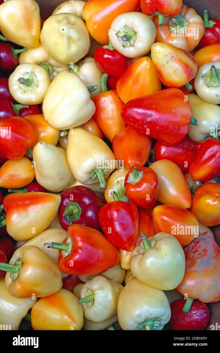 Chili peppers at farmers market Stock Photo - Alamy