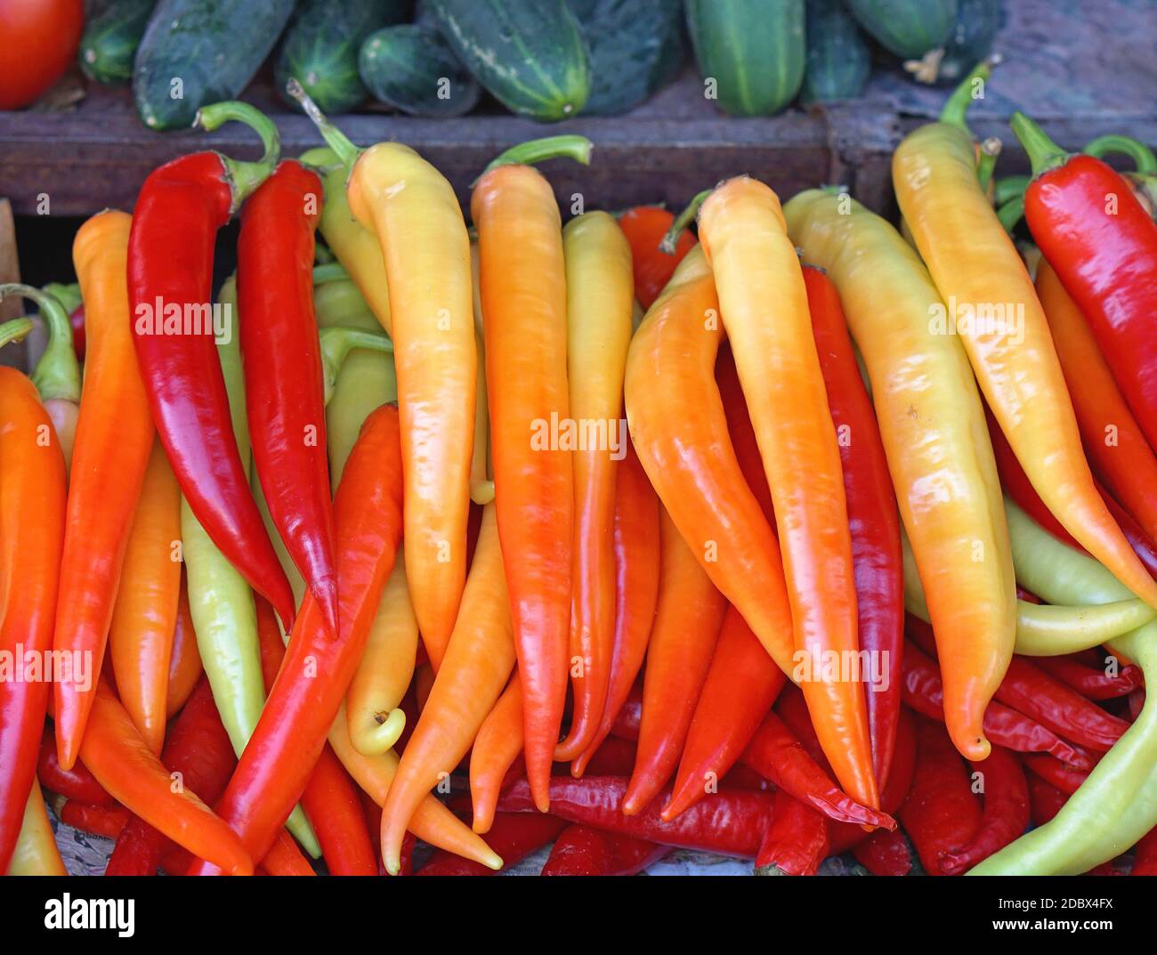Hot chili peppers at farmers market Stock Photo - Alamy