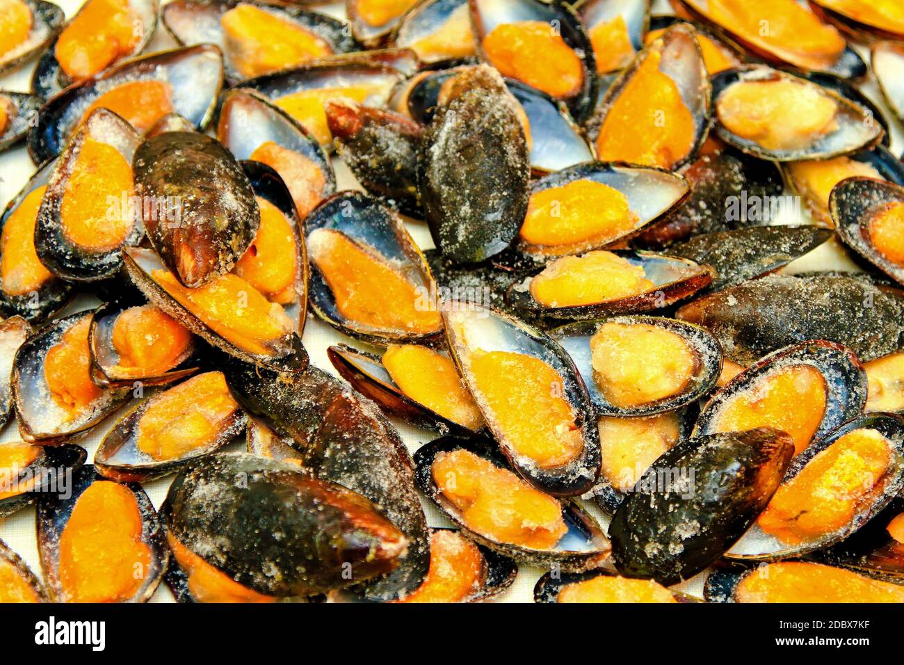 Bunch of frozen mussels right before cooking Stock Photo Alamy