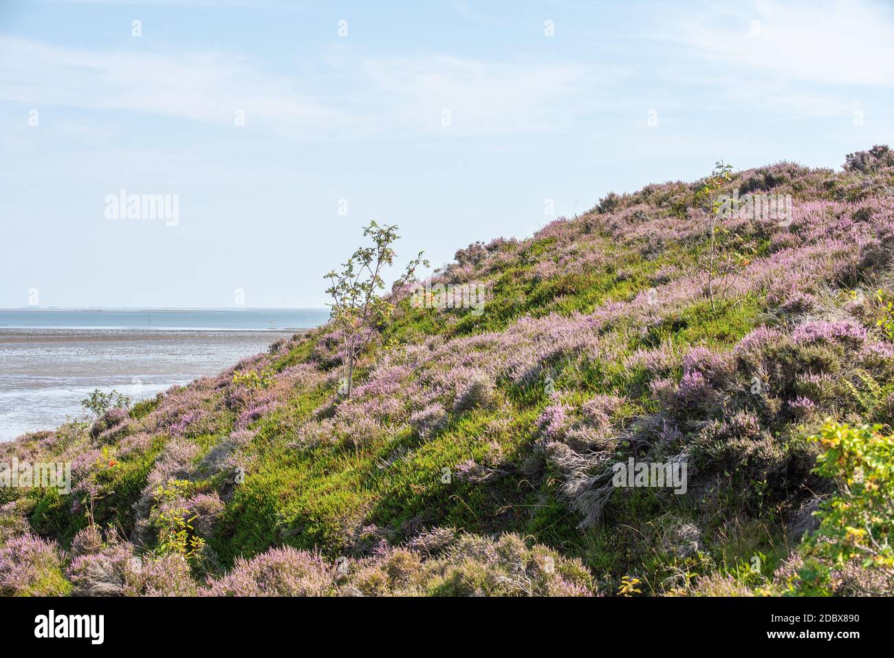 White cliffs Stock Photo