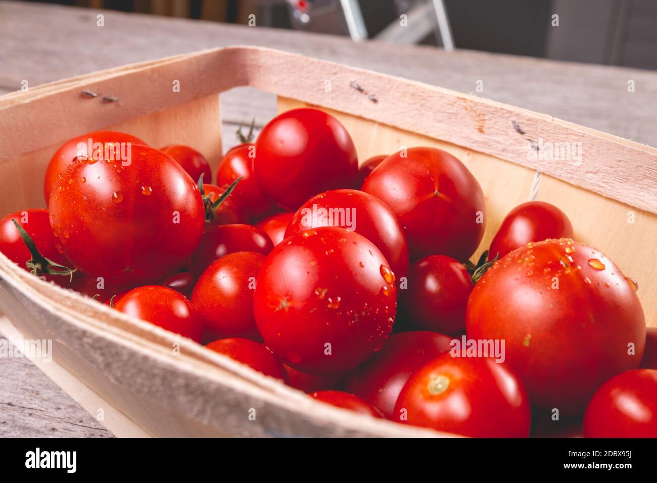 ripe tomatoes in a small wooden crate in studio Stock Photo - Alamy