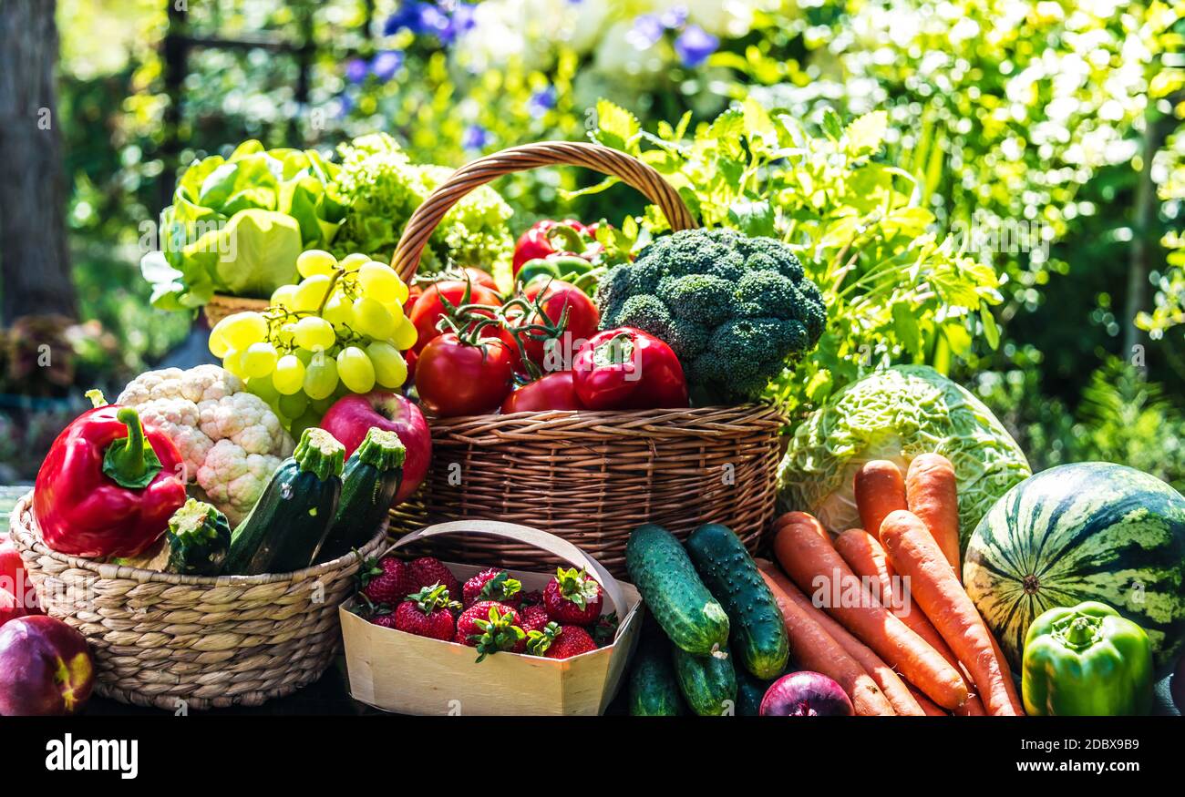 Variety of fresh organic vegetables and fruits in the garden. Balanced ...
