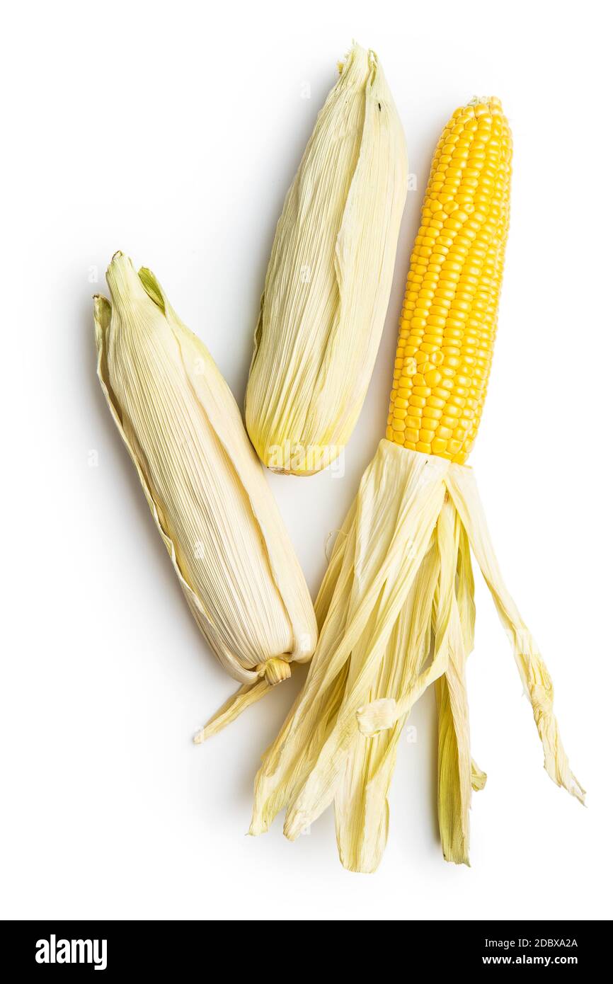 Uncooked corn cob isolated on white background Stock Photo Alamy