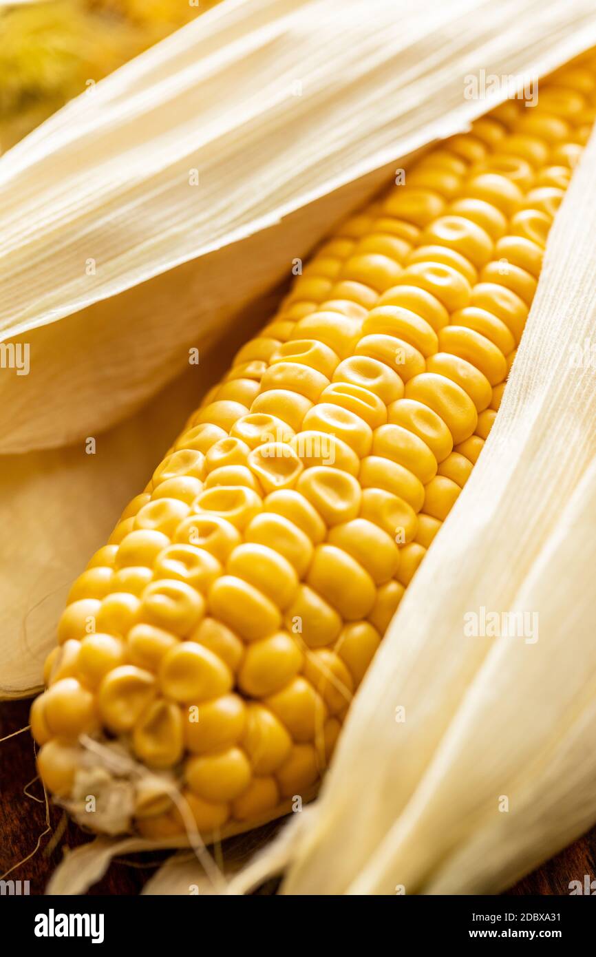 Uncooked corn cob on wooden table. Stock Photo