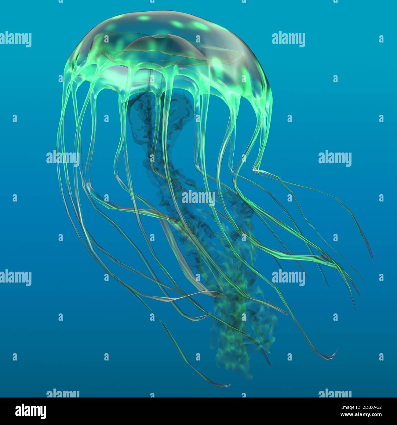 The jellyfish is a predator of the oceans and feeds on small fish and