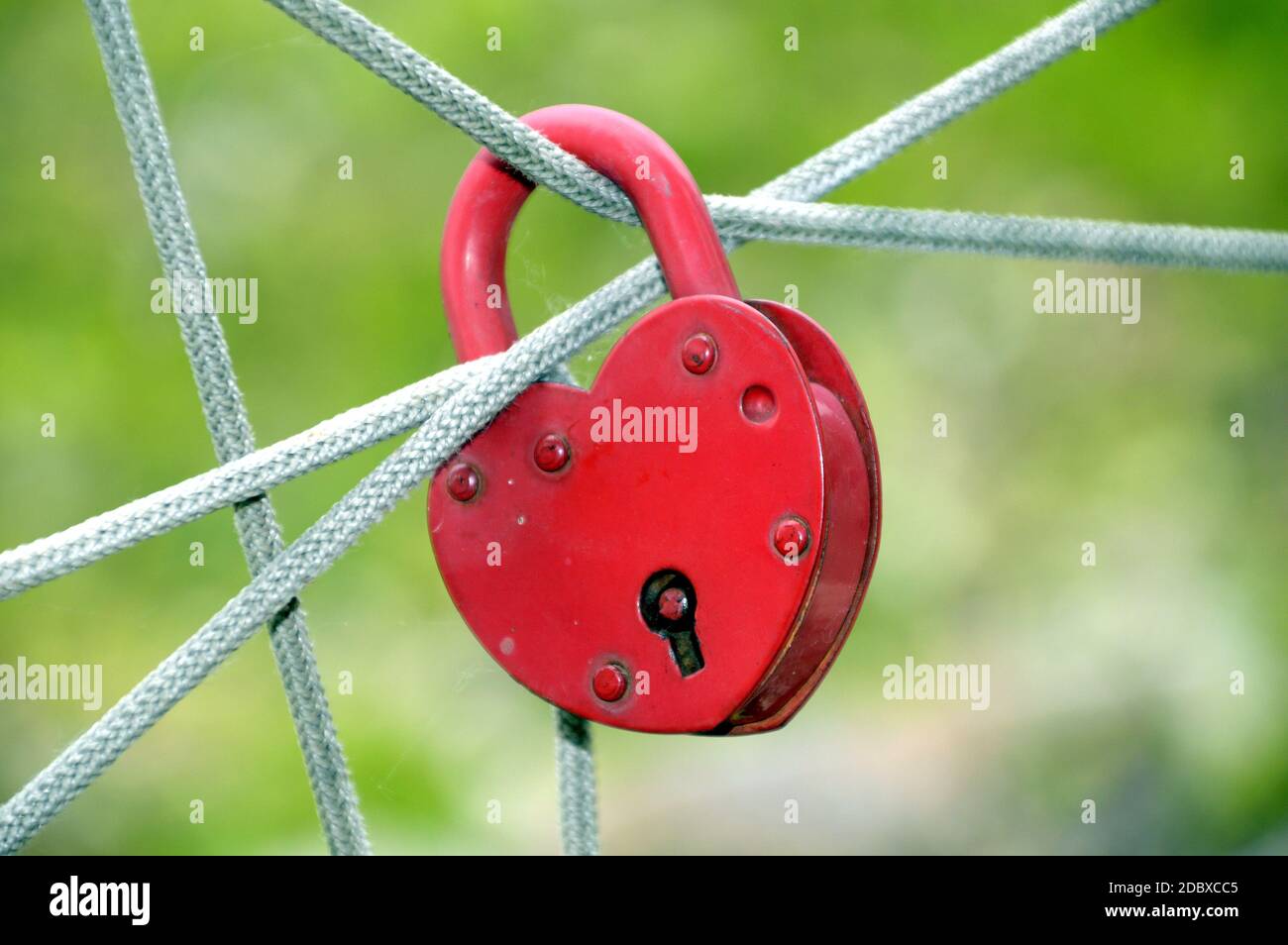 Red heart-shaped padlock hanging on the ropes on green background Stock ...