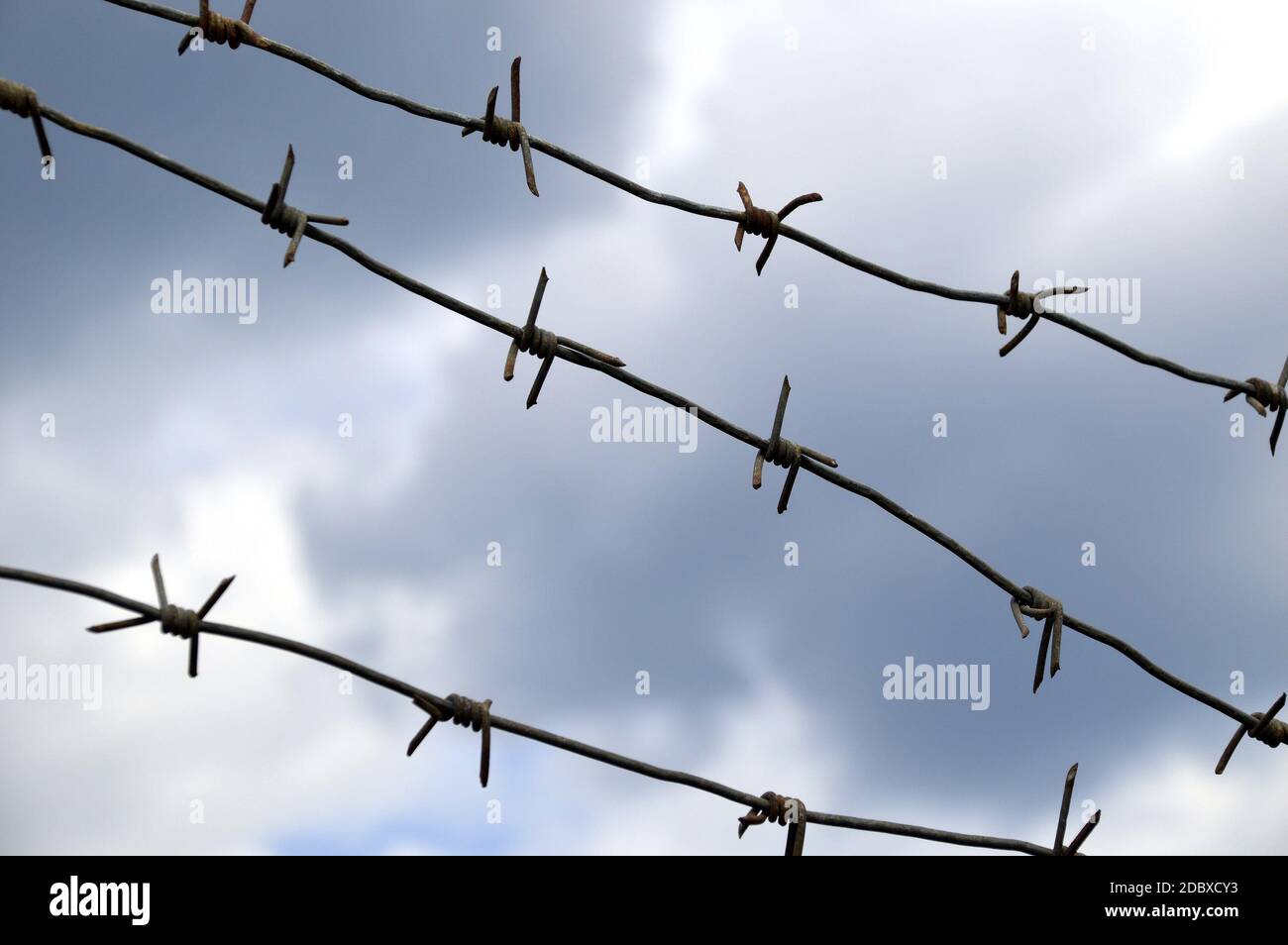Barbed wire against the dark sky. entry ban Stock Photo