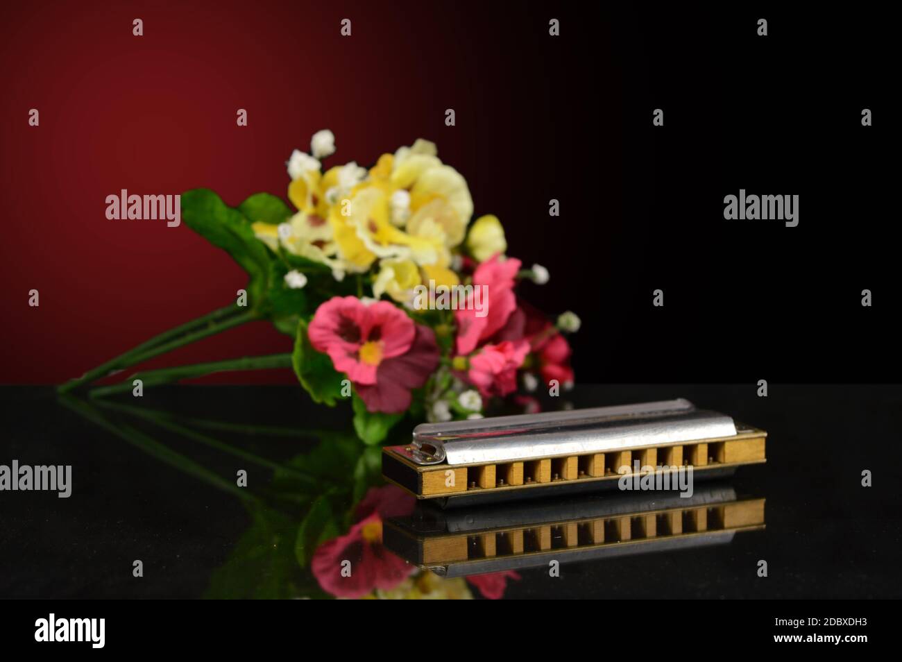 A closeup of a harmonica with a bouqet of flowers over a gradient background. Stock Photo