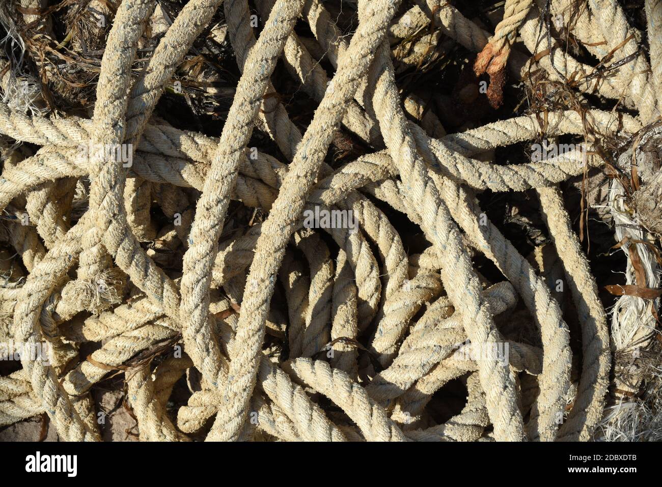 Twisted rope thrown ashore by the Japanese sea after storm.  environmental pollution Stock Photo