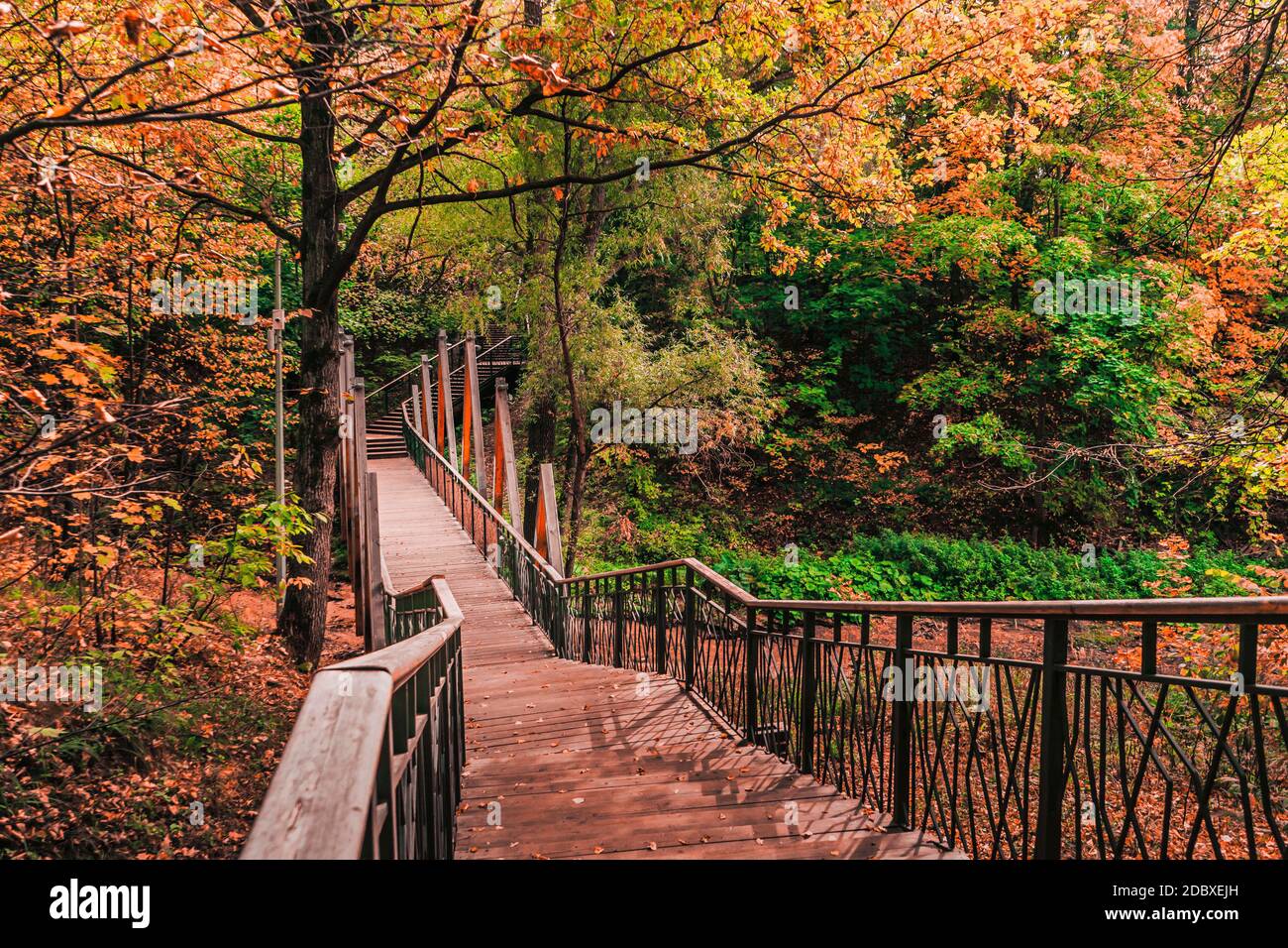 Old pedestrian wooden suspension bridge in the park among the trees. Stock Photo